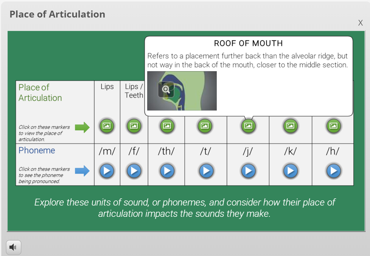 Place of Articulation and Phonemes Interactive